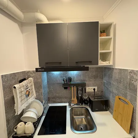 Garsoniera La Cristi Apartman Agigea